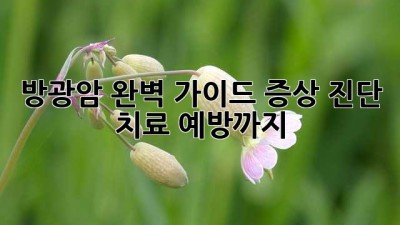방광암 완벽 가이드: 증상, 진단, 치료, 예방까지