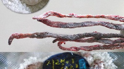 한강 뷰 득템! 한강무인도 캠핑용품 후기 & 꿀팁 대방출✨