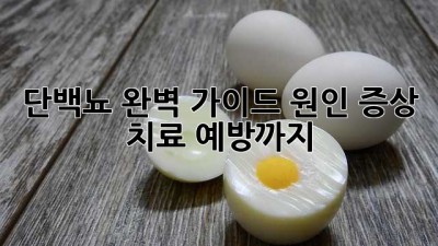단백뇨 완벽 가이드: 원인, 증상, 치료, 예방까지!